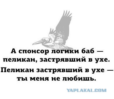 Столкновение с фундаментальной женской логикой, против которой нет оружия