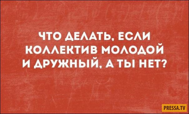 Прикольные открытки для любителей сарказма