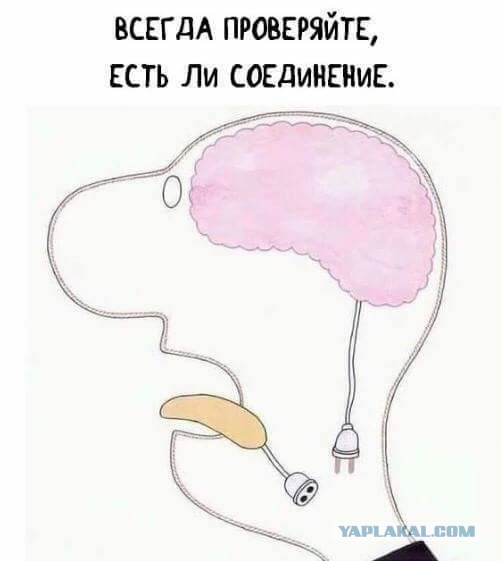 Путин пожаловался на загадочный сбор биоматериала всех россиян