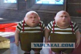 Школьника унесли черные вороны