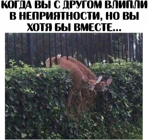 Комментарии, приколы и прочие маразмы