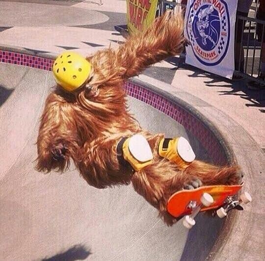 Интересные и редкие ретро-фотографии