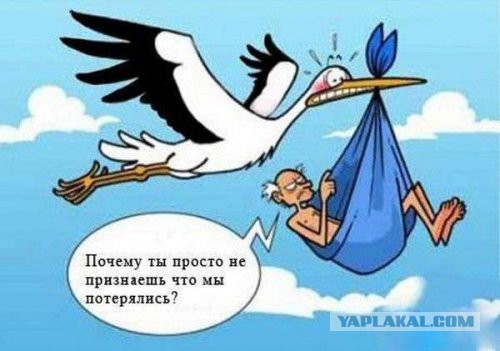 Картинки юморные и тексты