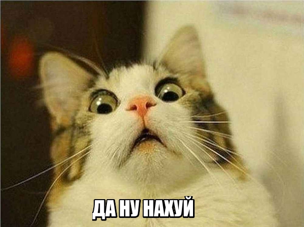 Настя Квитко. Торжество фотошопа и силикона