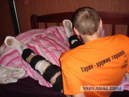 Фотография тарана.