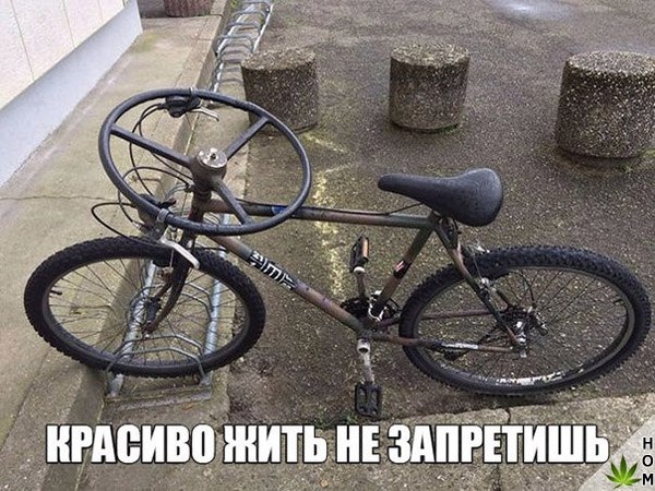 Картинки из ваших энторнетов