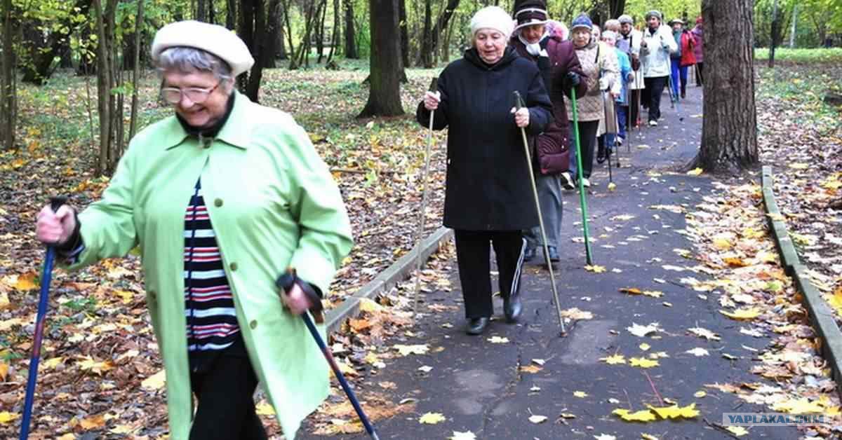 Спортивные бабульки