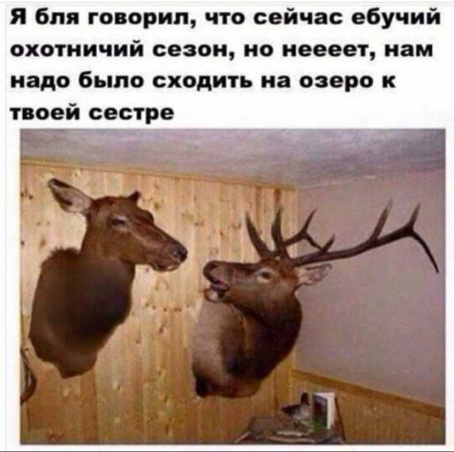 Кого звать, если...