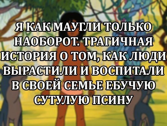 Подборочка картиночек для поднятия настроеньица