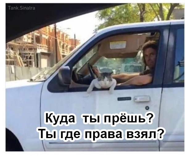 Опять картинок