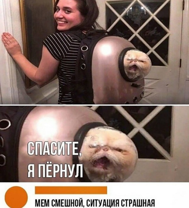 Картиношный винегрет с щепоткой упоротого юмора