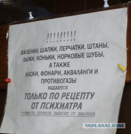 На работе нужно работать