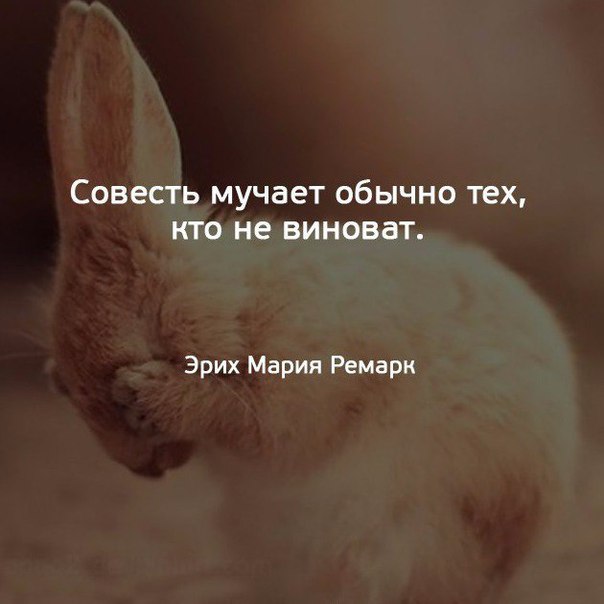 Немного картинок для настроения 26.01.20