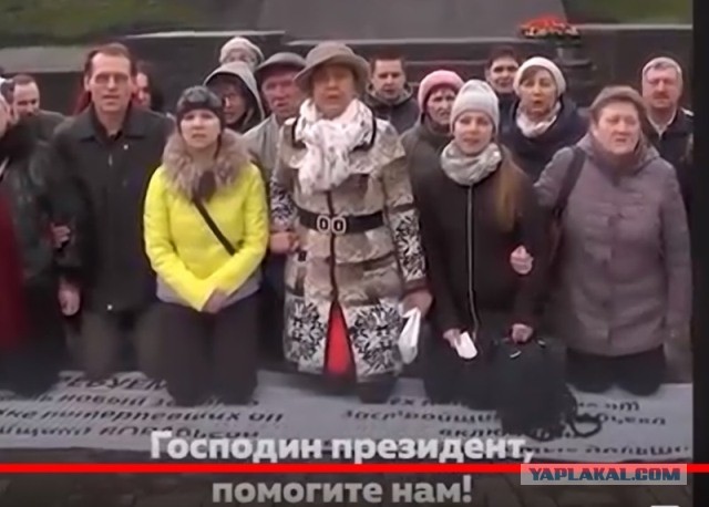 Революция баклажанов: взращивание чёрной биомассы