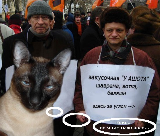Фотожаба: Митинг