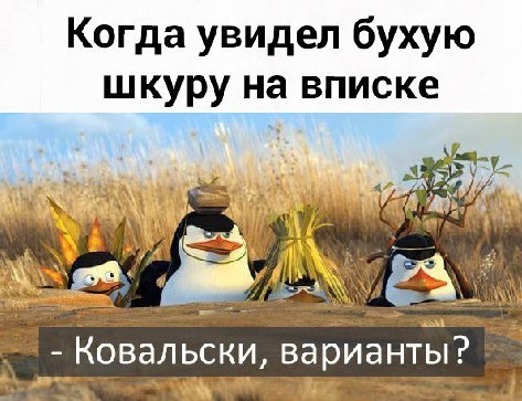 Пятница. И немного слегка пошлых картинок с надписями и без 16+ (14.08)