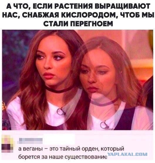Бредзона 24.08.2020