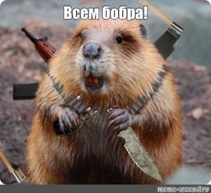 "Если бы не "запасы", прокусил бы до кишки"