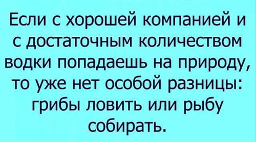 Алкопост 7.11.20