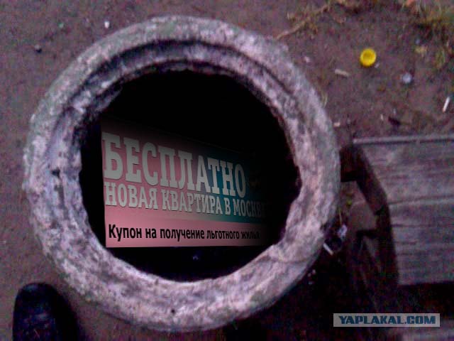 Что она там увидела