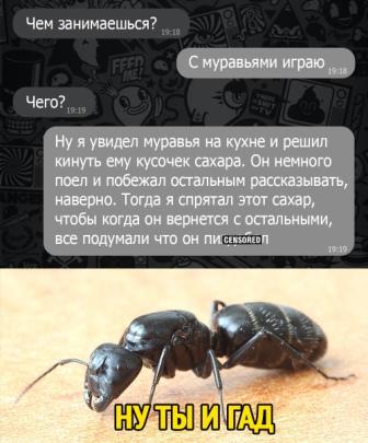 Боянистые картинки 07.12.20