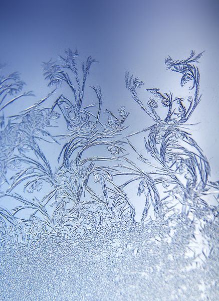 Морозная сказка