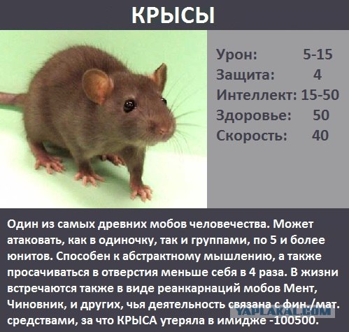 Фотожаба: Новая игра от российских разработчиков