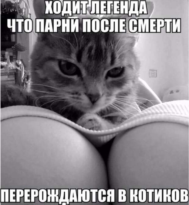 Эй ребят, тут деградационные картинки приехали. Будет местами весело