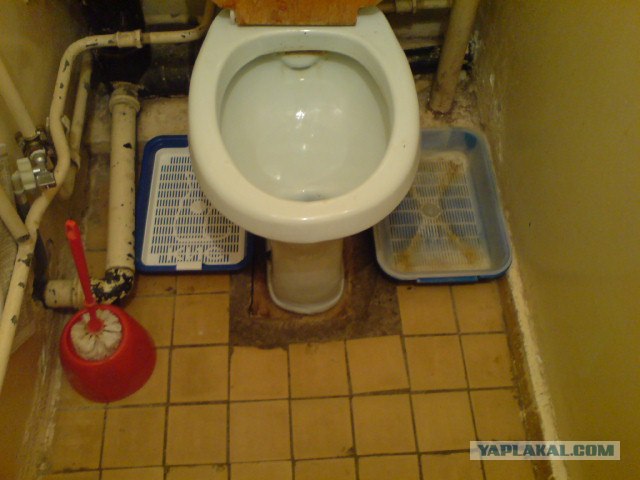 А с чего вы день начали?