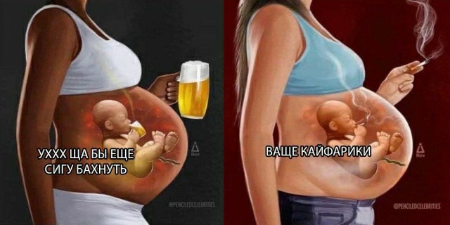 Алкопитница