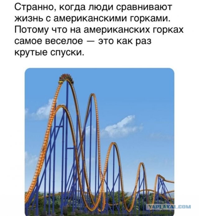 Картинки и мемы для настроения