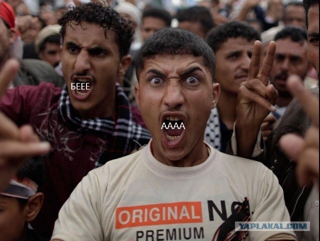 Фотожаба: AAAAAA!