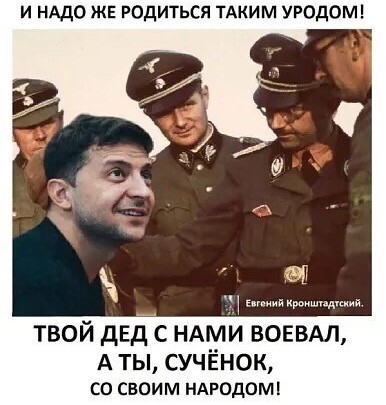 Зеленский предложил Путину встретиться на Донбассе