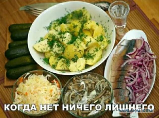 Алкопост 13.08.21