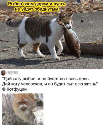 Вы меня достали своими рыбАми. Айда обратно к Наташе