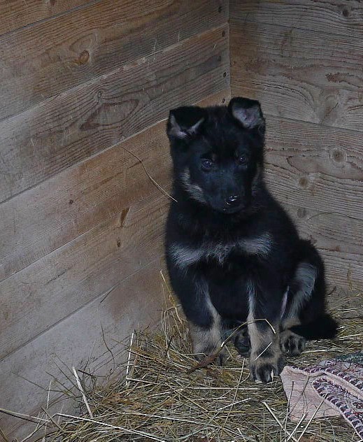 Когда то я была меньше кота, а теперь мы друзья