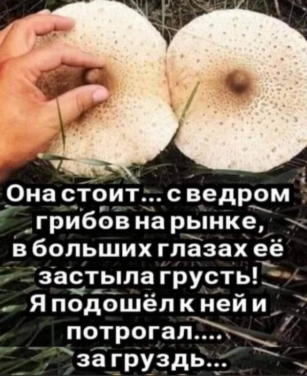 Картинки и мемы для настроения