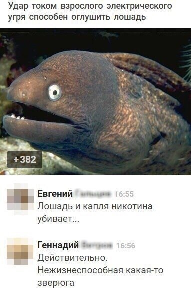 Так себе картинки 14.10.21
