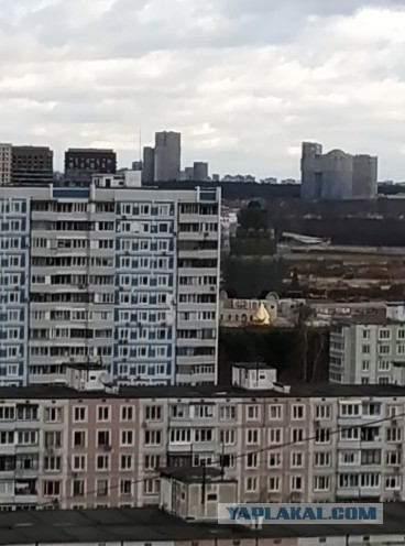 Течёт река Химка