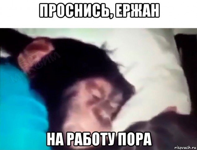 Представьте