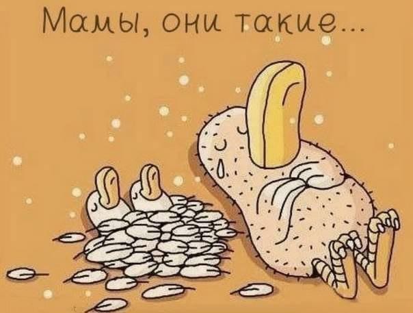 Мама всегда прибежит на помощь!