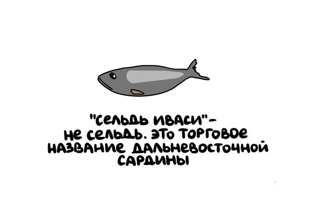 Забавные шутки, фразы, картинки из этих ваших интернетов