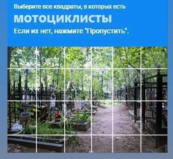 Весёлый полтишок 24.05.22