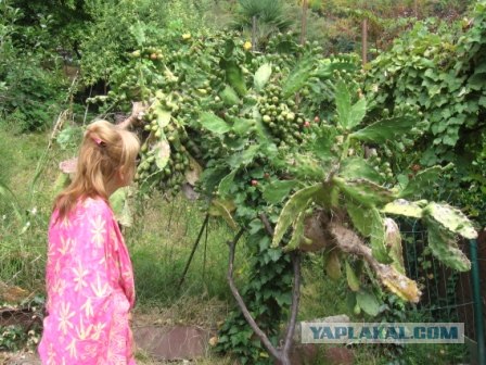 Где бюджетно отдохнуть?