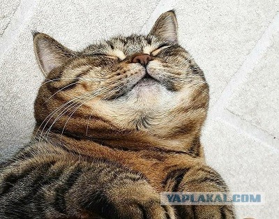 Израиль начал поставлять Украине современное оружие