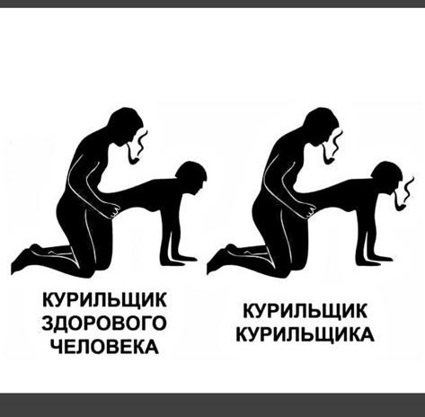 Картинки. Без темы