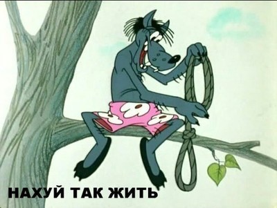 Болельщики Эквадора на матче с Катаром скандируют «Queremos cerveza», что в переводе с испанского означает: «Мы хотим пива!»