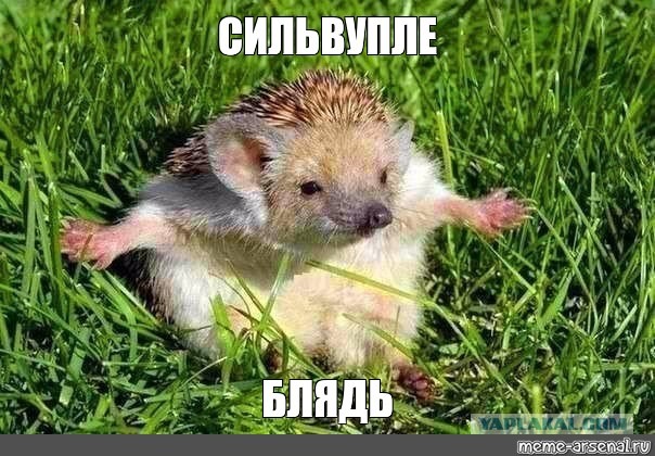 Ищу любовницу для мужа
