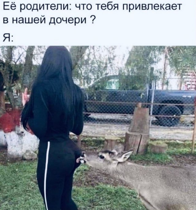 Пятница. И немного слегка пошлых картинок с надписями и без 16+ (17.09)
