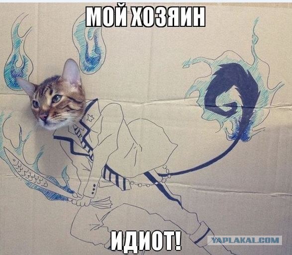 Наш хозяин идиот